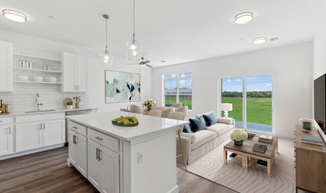 Open concept kitchen and living room. Open concept interior design